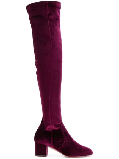 Aquazzura Essence 50 Velvet Over-the-knee Boots In Red