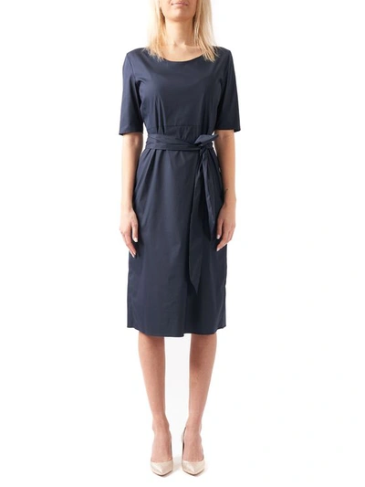 Max Mara Liriche Short Sleeves Dress In Blue