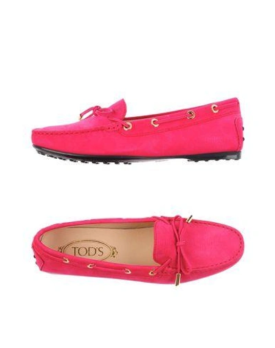 Tod's Loafers In Fuchsia