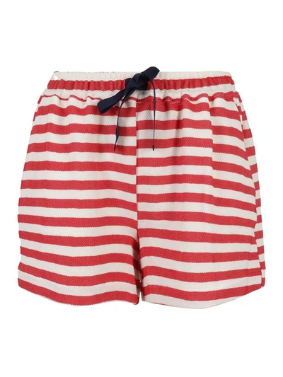 Semicouture Evelyne Shorts In Red And White In Rig Bianco Rosso