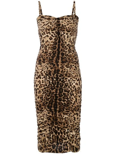 Dolce & Gabbana Leopard Print Cady Dress In Brown