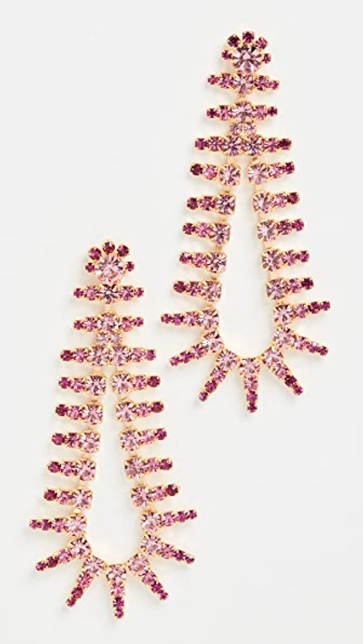 Elizabeth Cole Beatrix Crystal Earrings In Bright Rose