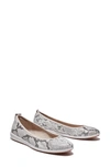 Timberland Women's Bradstreet Ultra Ballerina Flats Women's Shoes In Light Beige Python Print