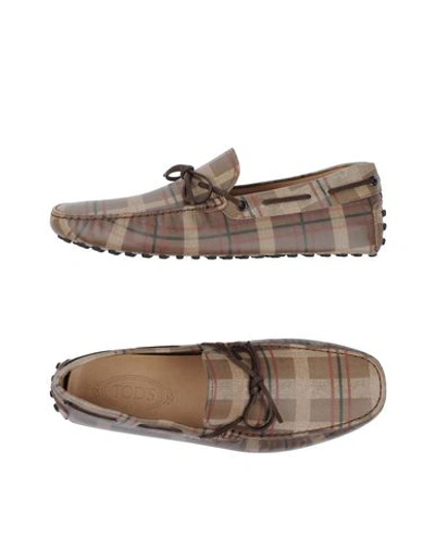 Tod's Loafers In Khaki