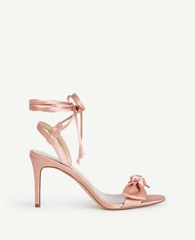 Ann Taylor Josette Lace Up Bow Sandals In Angel Pink