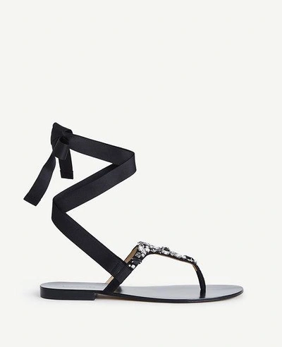 Ann Taylor Gayla Jeweled Lace Up Thong Sandals In Black