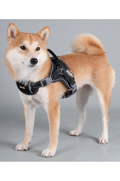 Pet Life Dog Helios 'scorpion' Sporty High-performance Free-range Dog Harness In Black