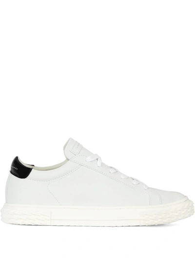 Giuseppe Zanotti Blabber Sneakers In White Leather