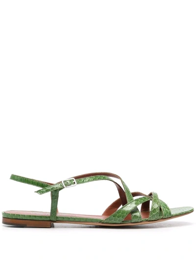 Michel Vivien Eelke Strappy ;leather Sandals In Green