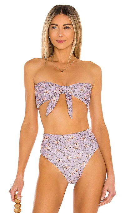 Acacia Baker Printed Bikini Top In Lily