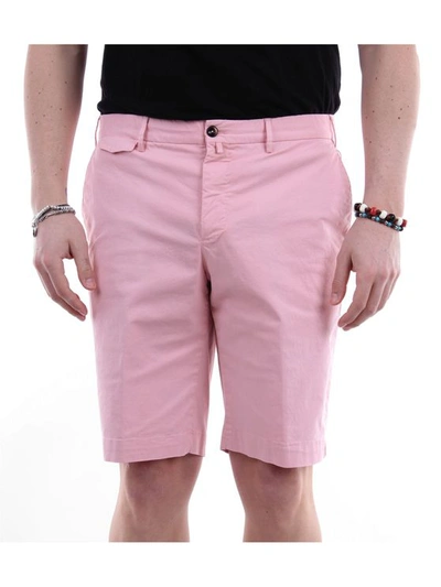 Pt Torino Cotton Bermuda Shorts In Pink