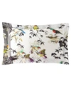 Roberto Cavalli Birds Ramage Standard Shams, Set Of 2 In Multi