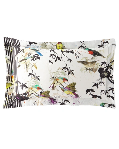 Roberto Cavalli Birds Ramage Standard Shams, Set Of 2 In Multi