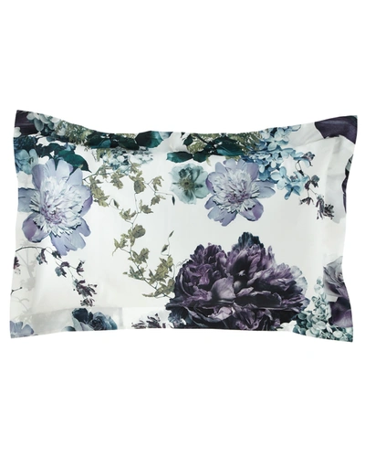 Roberto Cavalli Floris King Shams, Set Of 2 In Multi