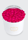 Venus Et Fleur Classic Large Round Rose Box In Hot Pink