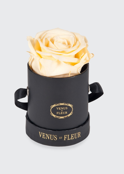 Venus Et Fleur Classic Mini Round Rose Box In Champagne