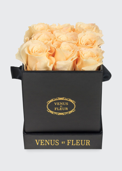 Venus Et Fleur Classic Mini Square Rose Box In Champagne