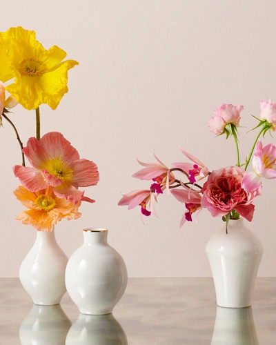 Aerin Sancia Baluster Vase In Cream