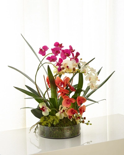 John-richard Collection Atrium Orchids Arrangement