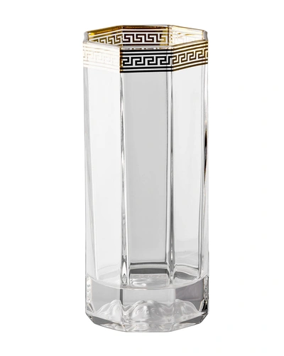 Versace Medusa D'or Tall Drinking Glasses, Set Of 2 In Clear