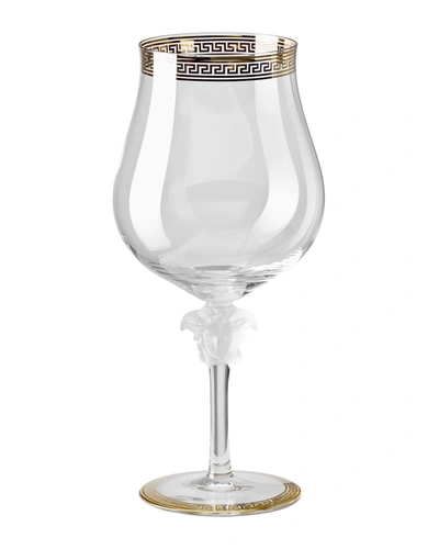 Versace Medusa D'or Cognac Glass In Transparent