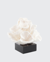 John-richard Collection Foliose Coral On Black Marble Base In White