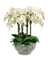 Winward Orchid In Ceramic Bowl