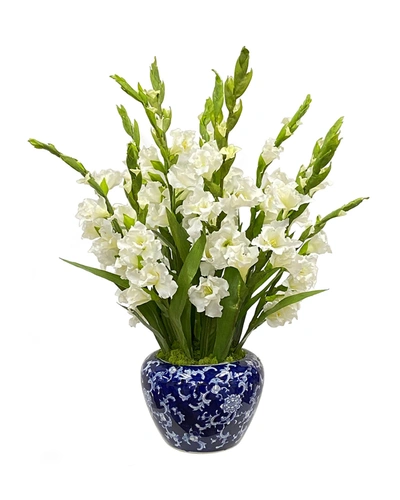 Winward Gladiolus Arrangement In Bowl Vase