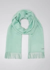 Loro Piana Cashmere Sciarpa Grande Fringe-trim Scarf In Light Green