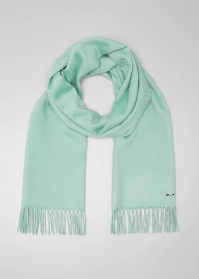 Loro Piana Cashmere Sciarpa Grande Fringe-trim Scarf In Light