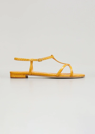 Manolo Blahnik Raqui T-strap Flat Python Sandals In Byel 7301