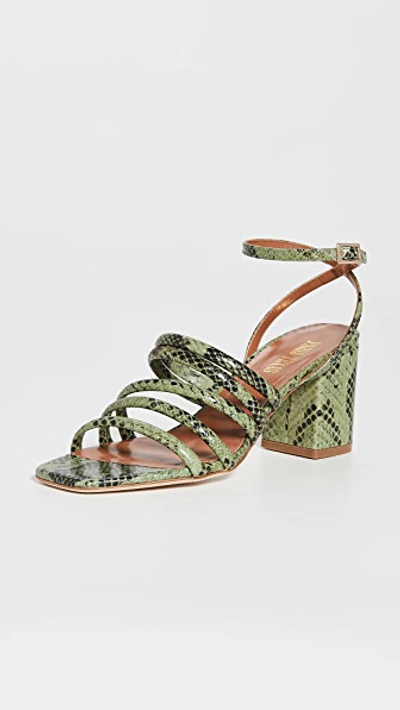 Paris Texas Carla Snake-print Strappy Sandals In Green Pattern