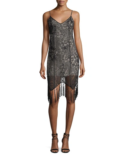 Haute Hippie Embellished Lace Sleeveless Flapper Cocktail Dress In Black