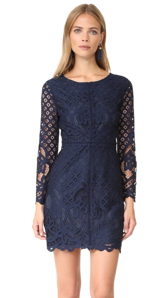 Cupcakes And Cashmere Spence Fitted Lace Dress In Ink | ModeSens