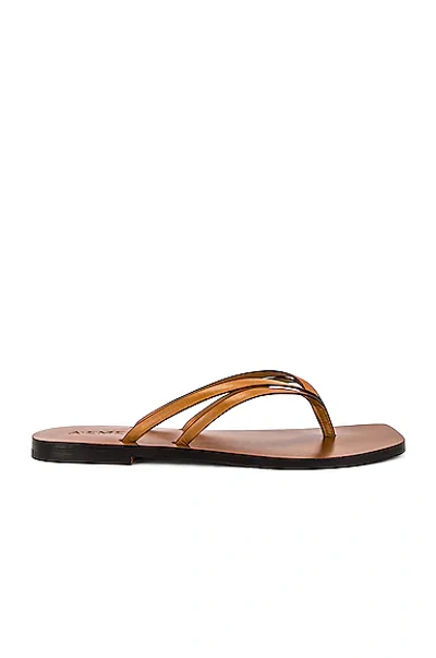 A.emery Blaze Flat Lace-up Sandals In Deep Tan