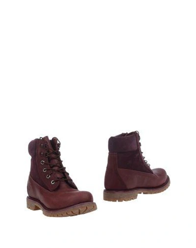 Timberland Ankle Boot In Maroon