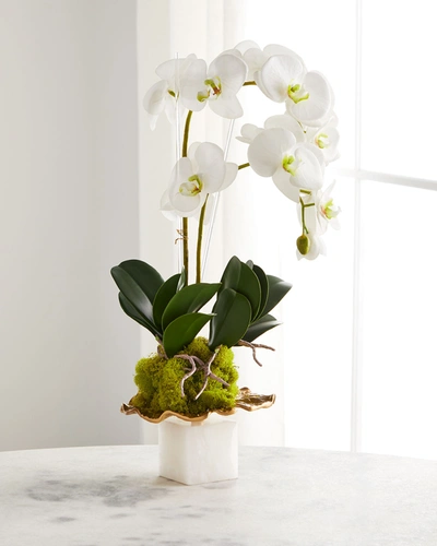 John-richard Collection Marble Lotus In White