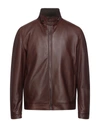 Latini Finest Leather Jackets In Cocoa