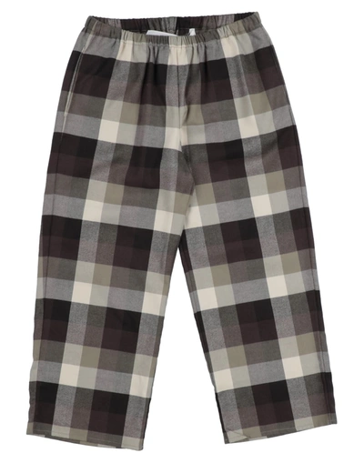 Touriste Kids' Casual Pants In Dark Brown