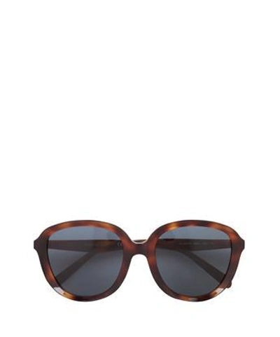 Celine Ava Sunglasses In Marrone