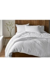 Coyuchi Set Of 2 Organic Linen Pillowcases In Alpine White