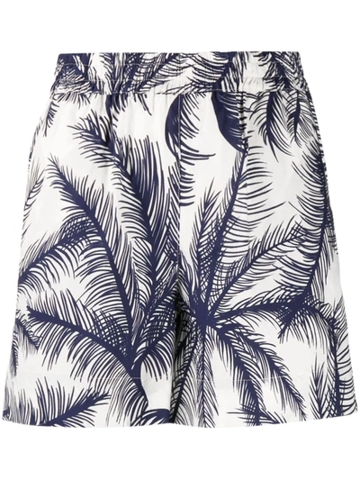 P.a.r.o.s.h White And Blue Palm Tree-print Shorts In Multicolore