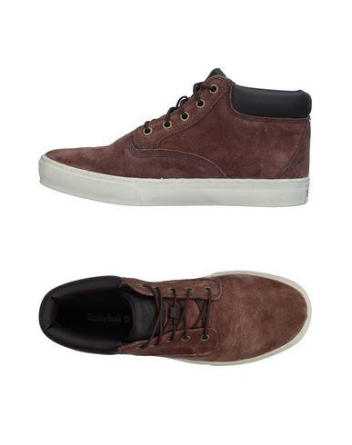 Timberland Sneakers In Cocoa | ModeSens