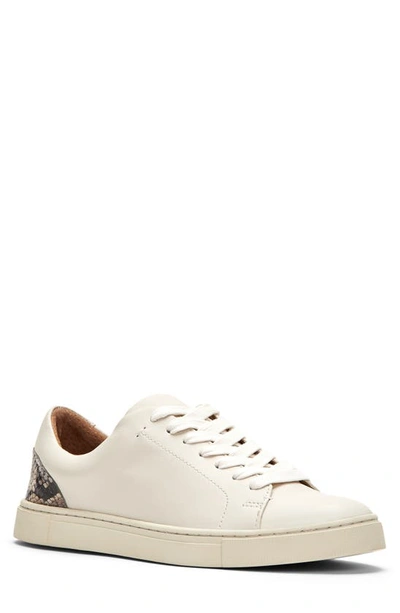 Frye Women's Ivy Low Lace-up Sneakers Women's Shoes In Powder White Multi