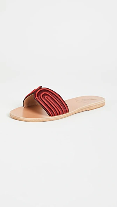 Ancient Greek Sandals X Zeus + Dione The Harness Slides In Bordeaux/red