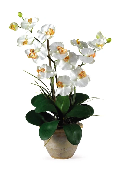 Nearly Natural Double Phalaenopsis Orchid Artificial Flower Arrangement In Natural