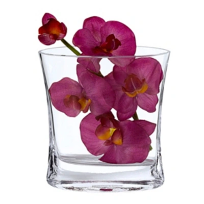 Badash Crystal Riviera Pocket Vase In Clear