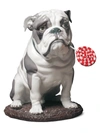 Lladrò Porcelain Bulldog With Lollipop Dog Figurine In Multi