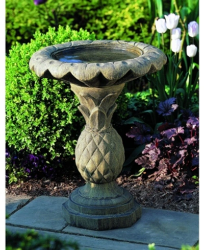 Campania International Pineapple Birdbath In Slate