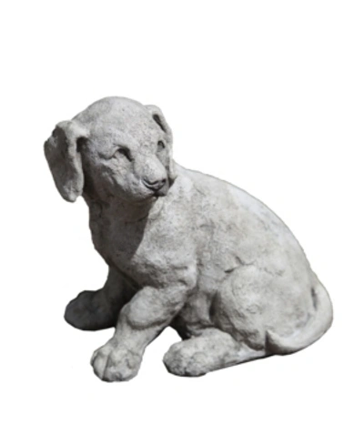 Campania International Lab Pup Garden Statue In Brown